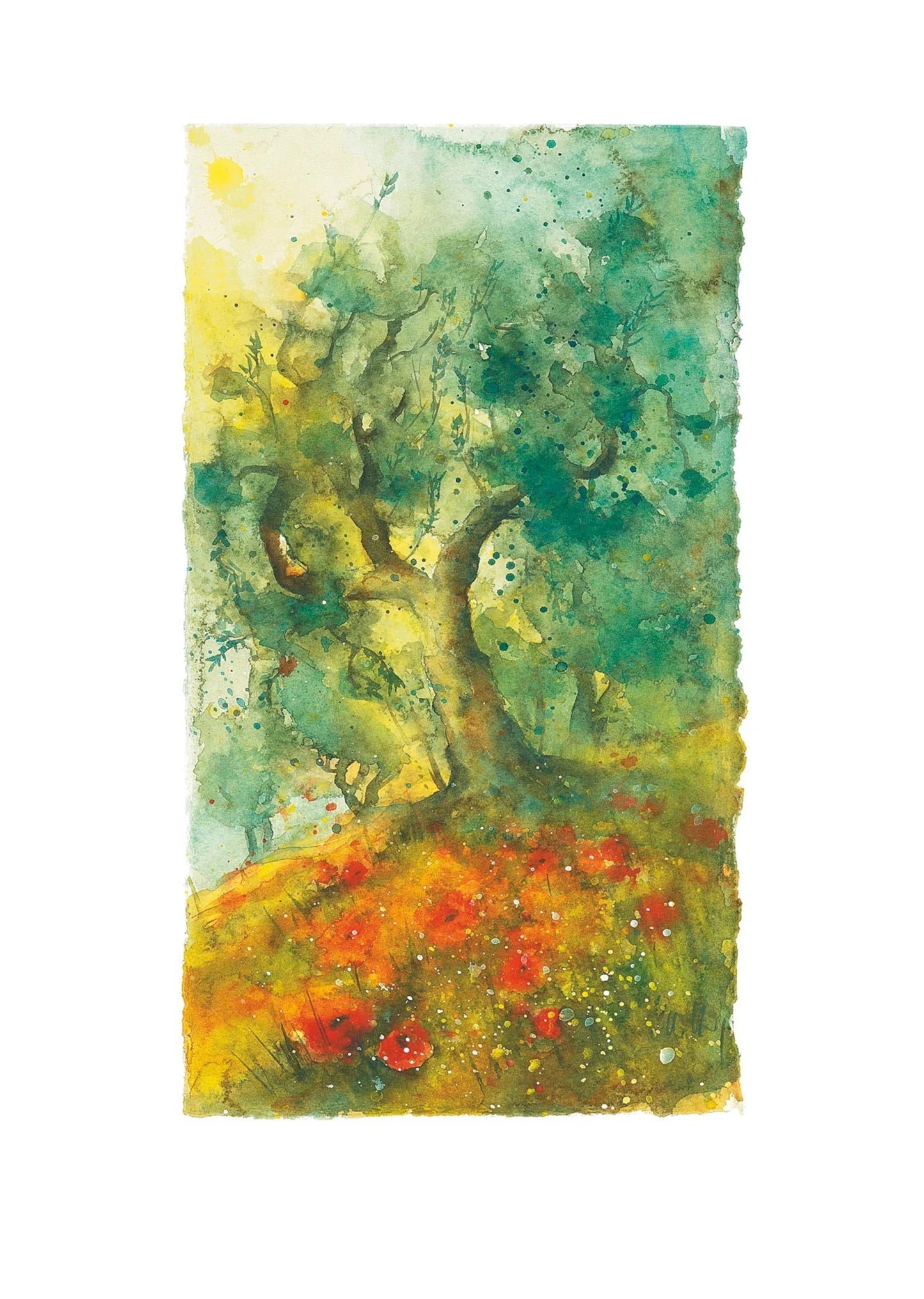 Kunstdruck Ulrich Hartig - Oliven und Mohn 50x70cm