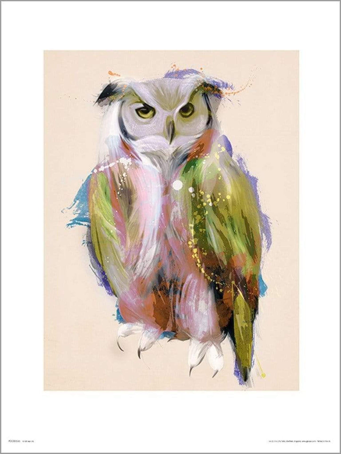 Kunstdruck Owl Paint 50x70cm