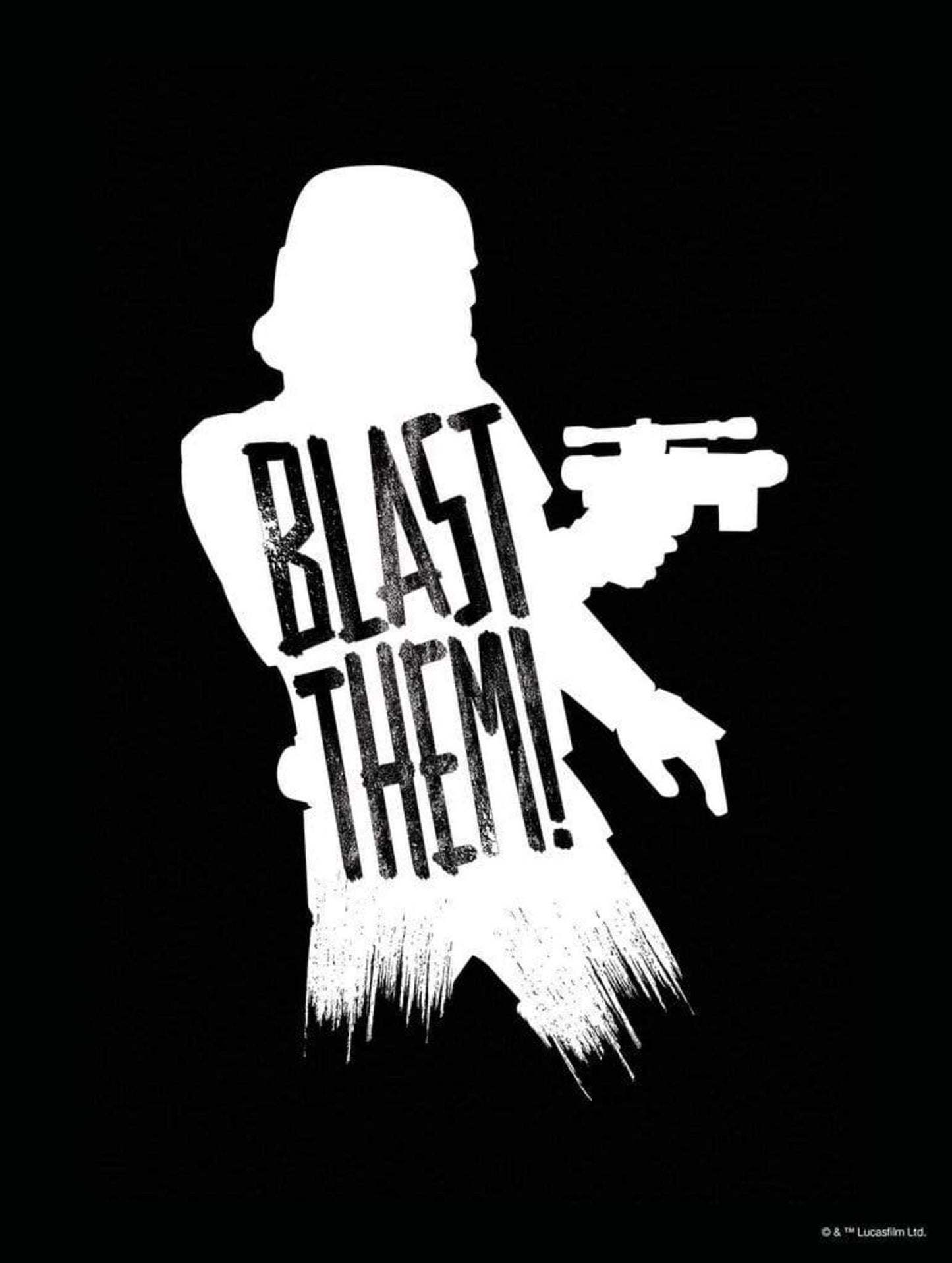 Kunstdruck Star Wars Silhouette Quotes Stormtrooper 30x40cm
