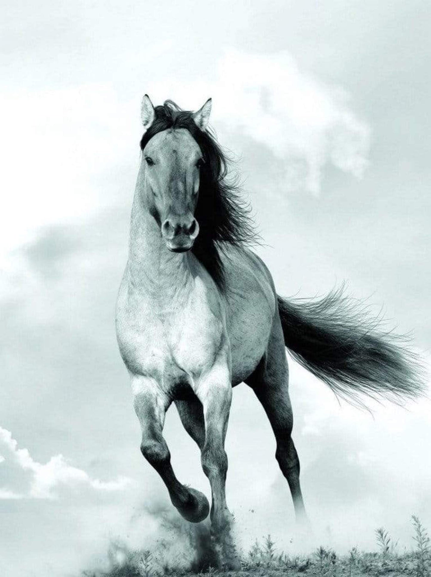 Kunstdruck Blonde Attitude - Mane in the wind 60x80cm