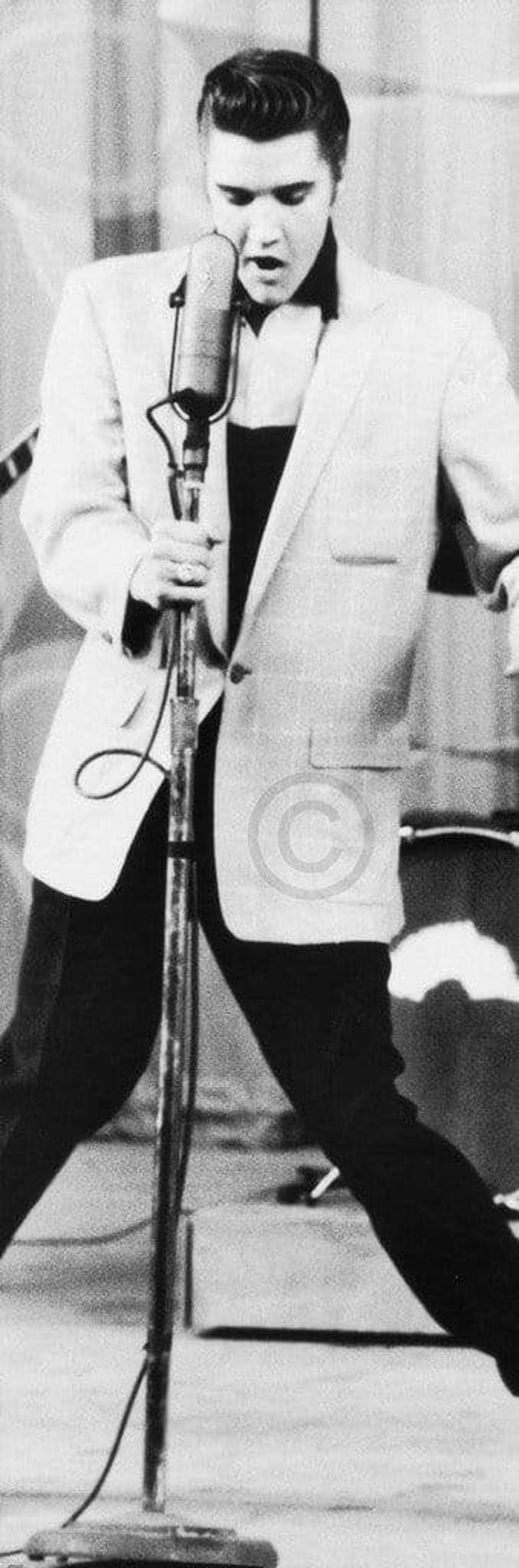 Kunstdruck Edward Lunch - The King Klein 30x91cm