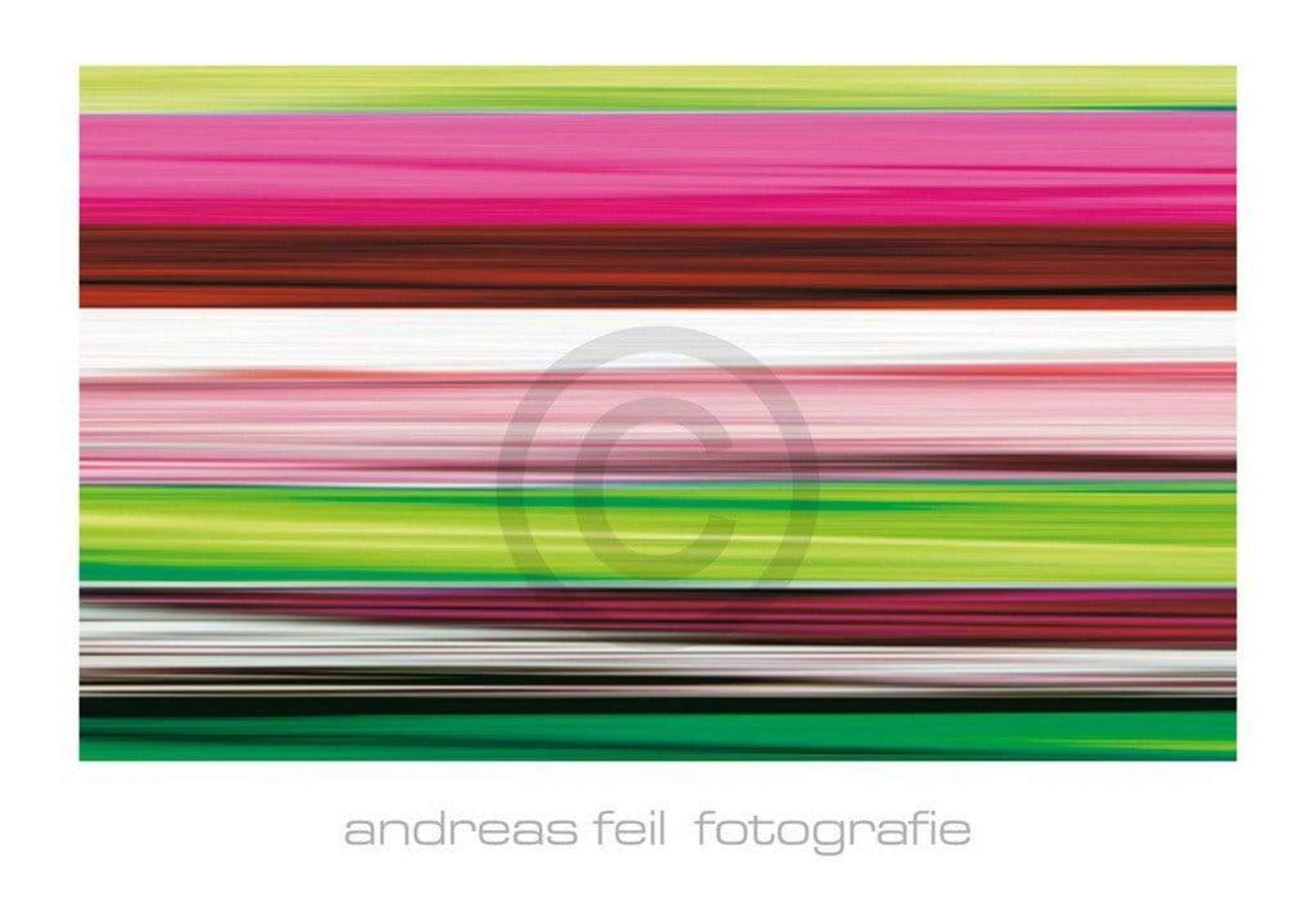 Kunstdruck Andreas Feil - Fotografie II 138x95cm