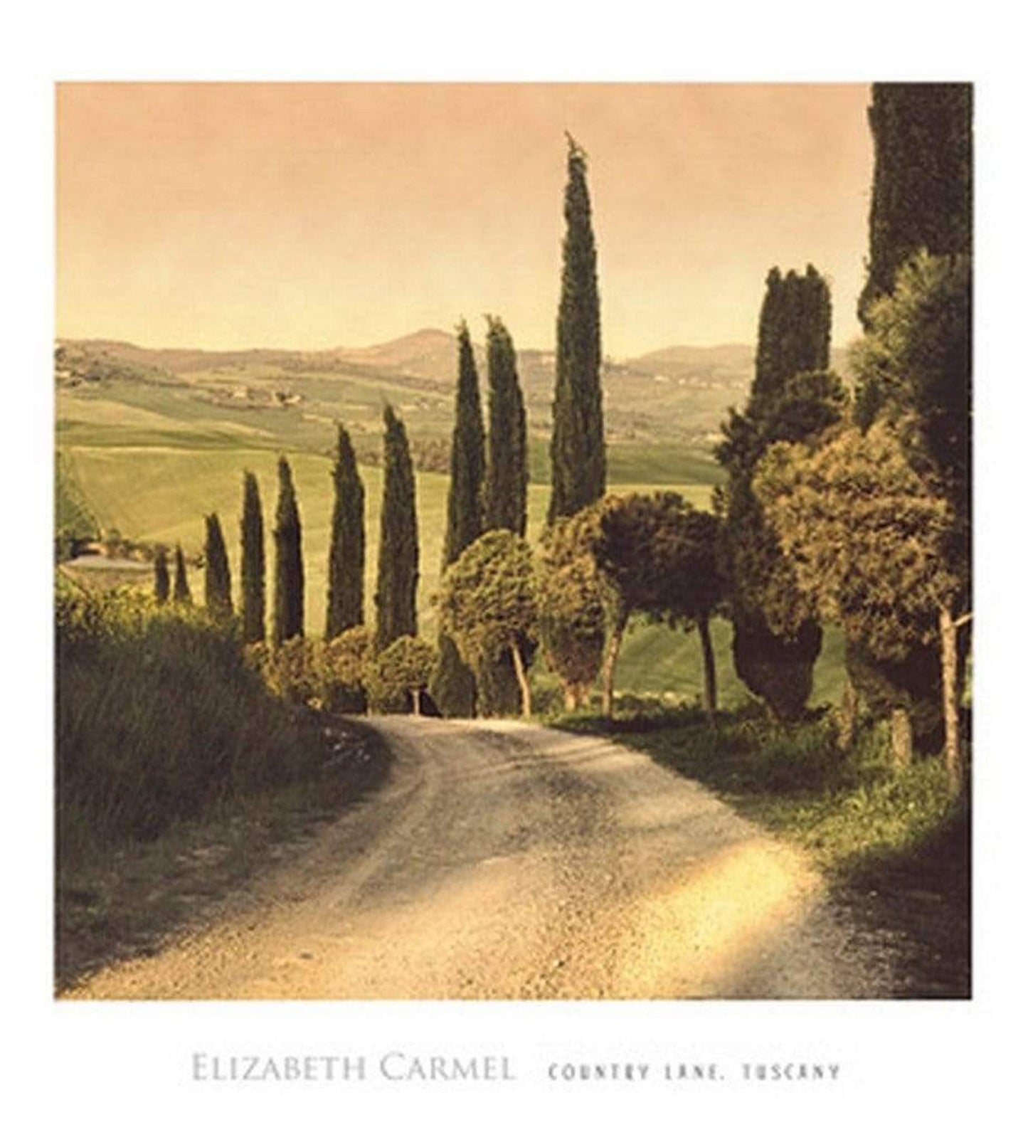 Kunstdruck Elisabeth Carmel - Country Lane, Tuscany 45x50cm