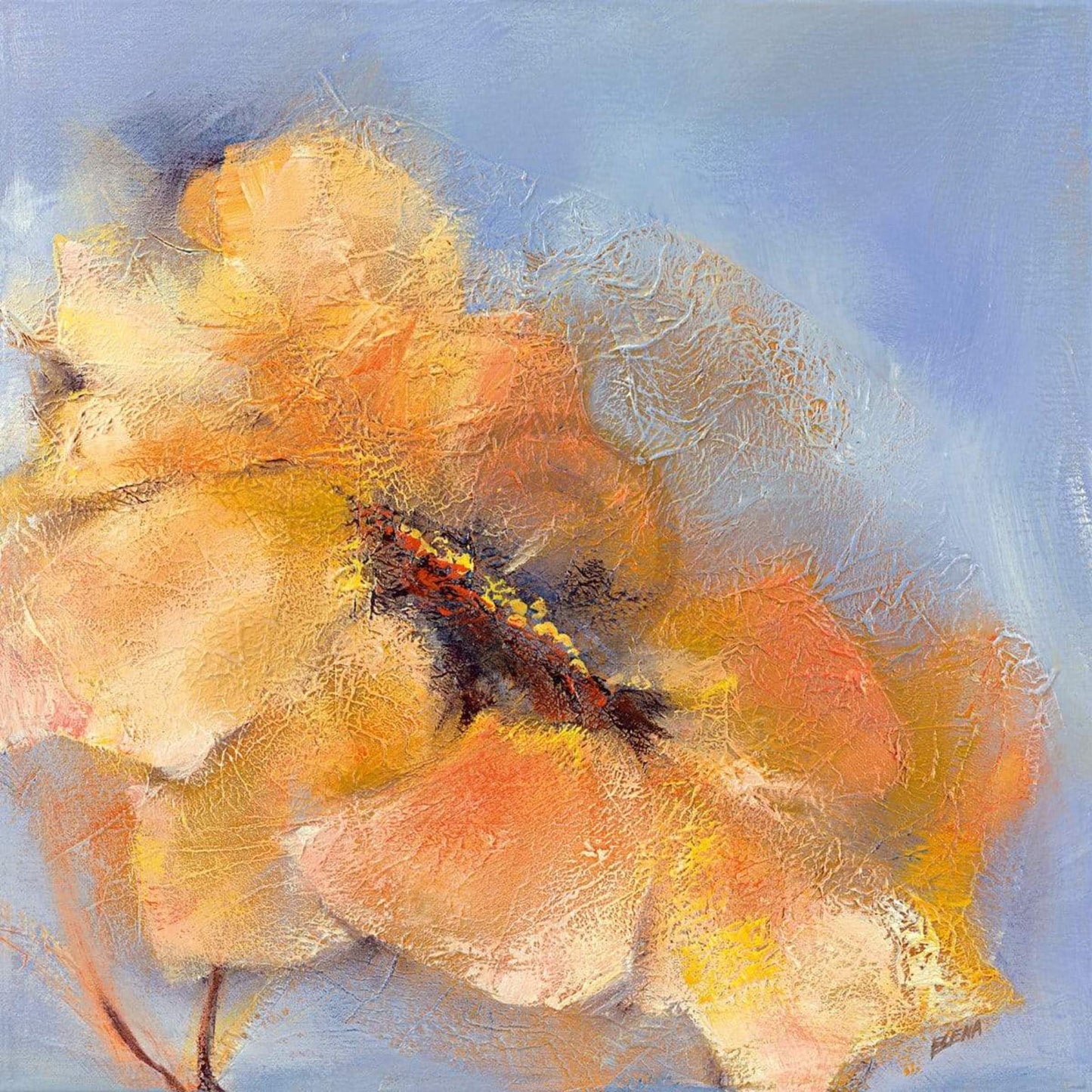 Kunstdruck Elena Filatov - Bright Anemone II 50x50cm
