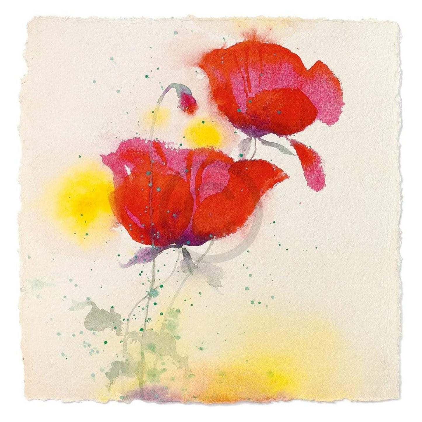 Kunstdruck Andrea Fontana - Papaveri I 70x70cm