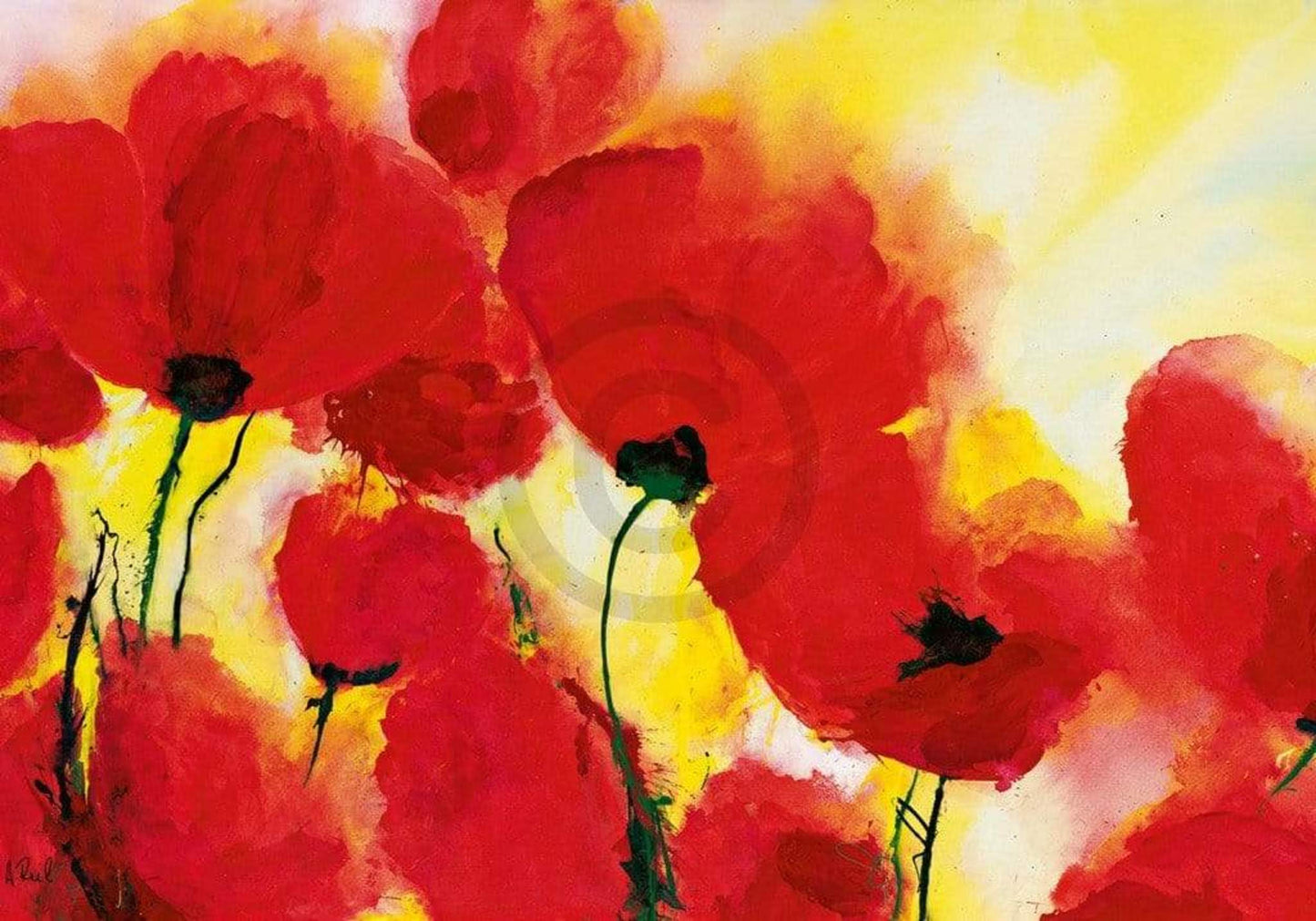 Kunstdruck Heidi Reil - Roter Mohn Toskana 100x70cm