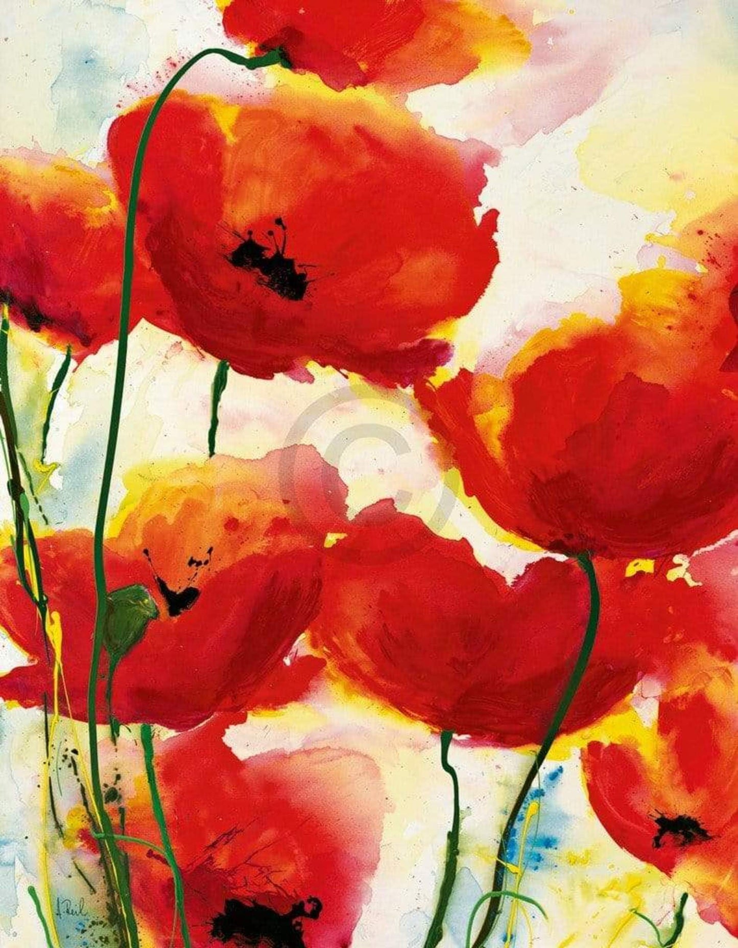 Kunstdruck Heidi Reil - Roter Mohn 70x90cm