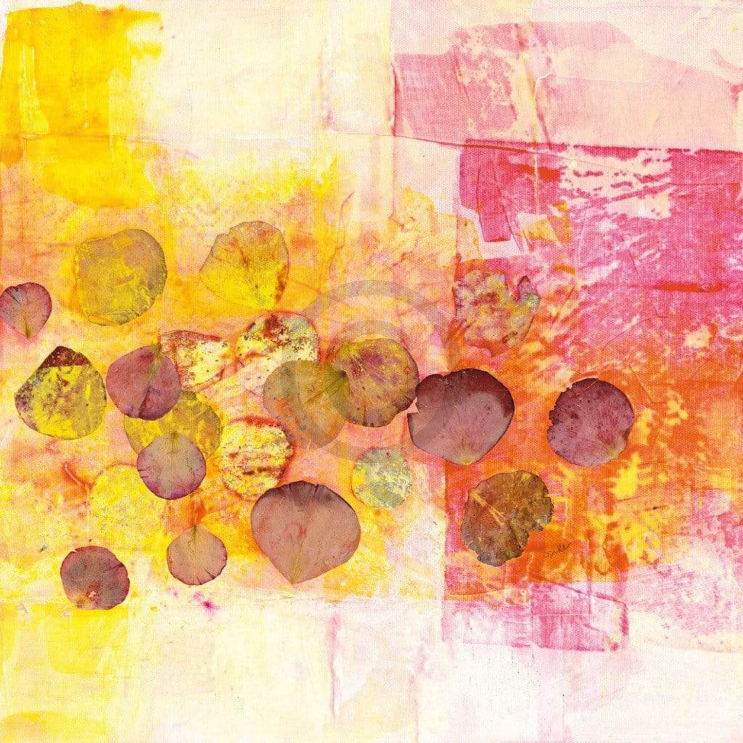 Kunstdruck Katja Spilker - Rosenblühen 40x40cm