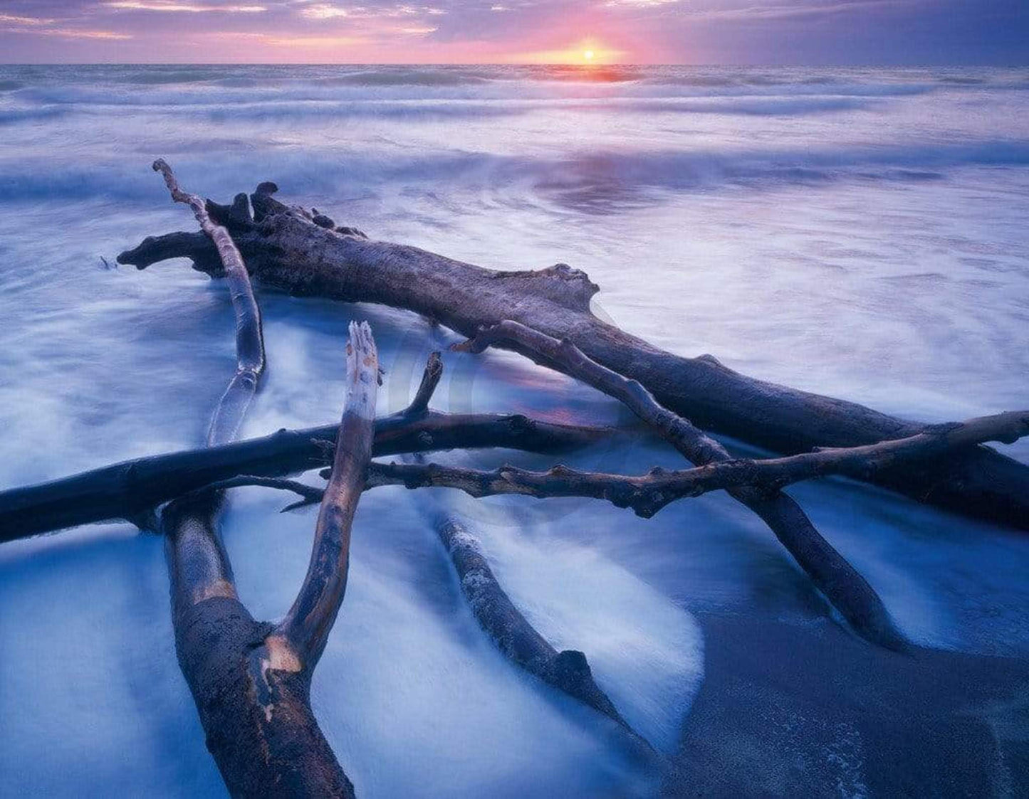 Kunstdruck Popp-Hackner - NPVB Weststrand 90x70cm