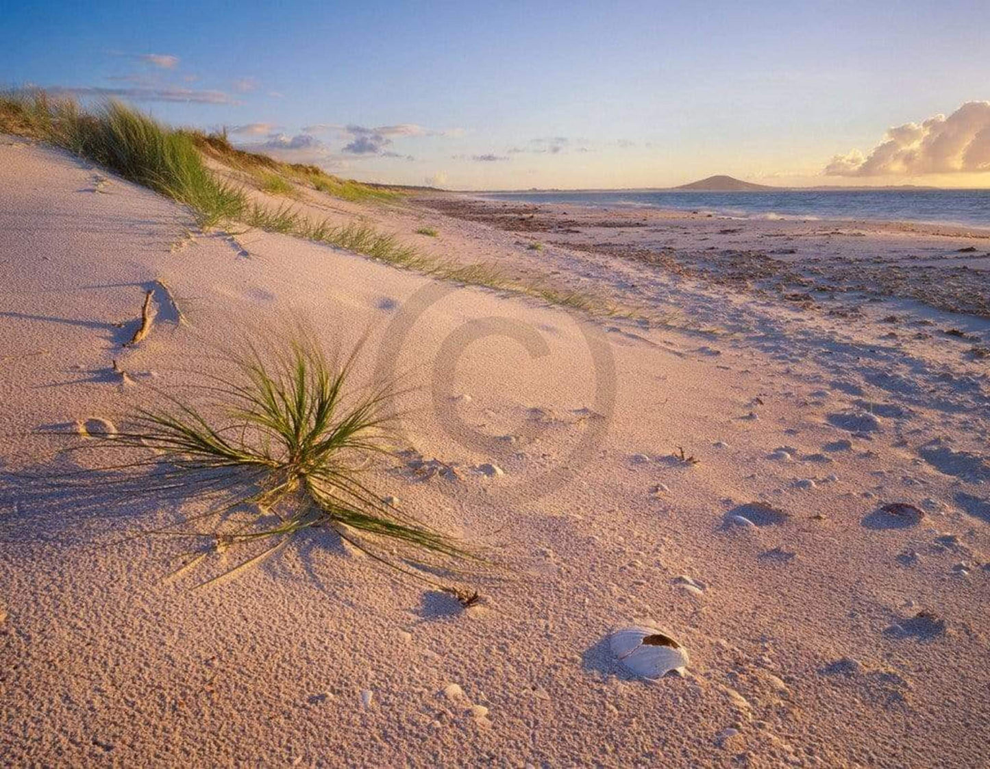 Kunstdruck Popp-Hackner - Northland Karikari Bay 90x70cm