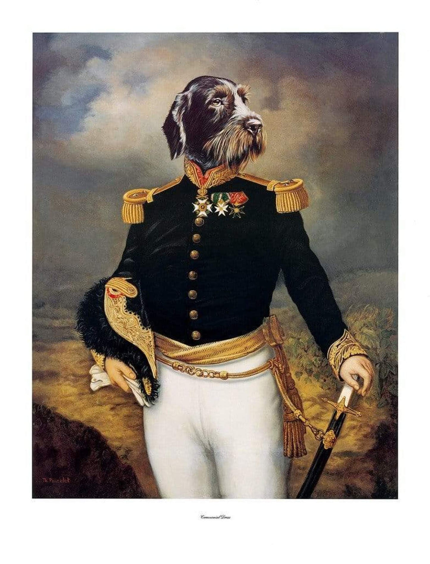 Kunstdruck Thierry Poncelet - Ceremonial Dress 66x86cm