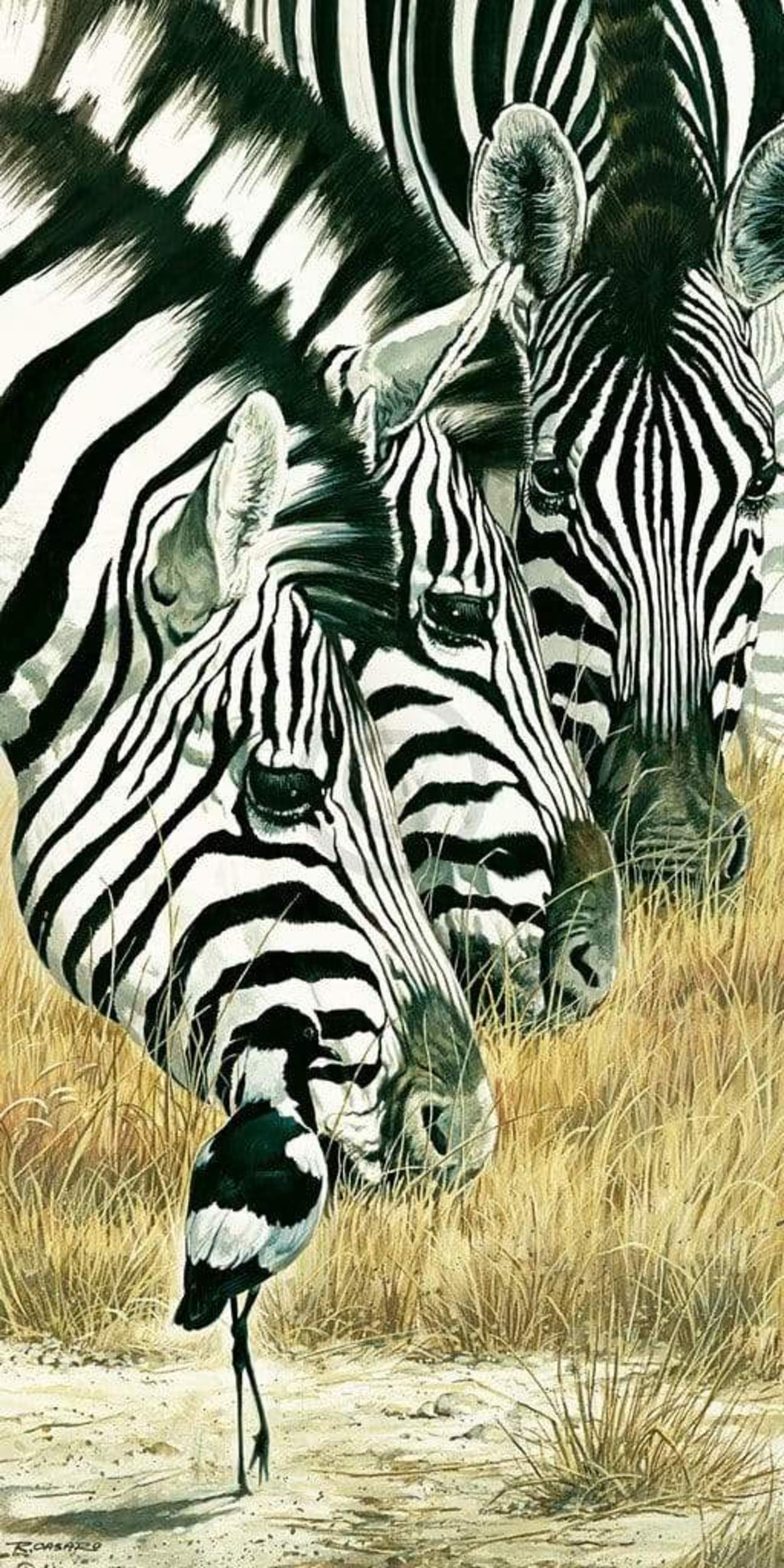Kunstdruck Renato Casaro - Black and White 50x100cm