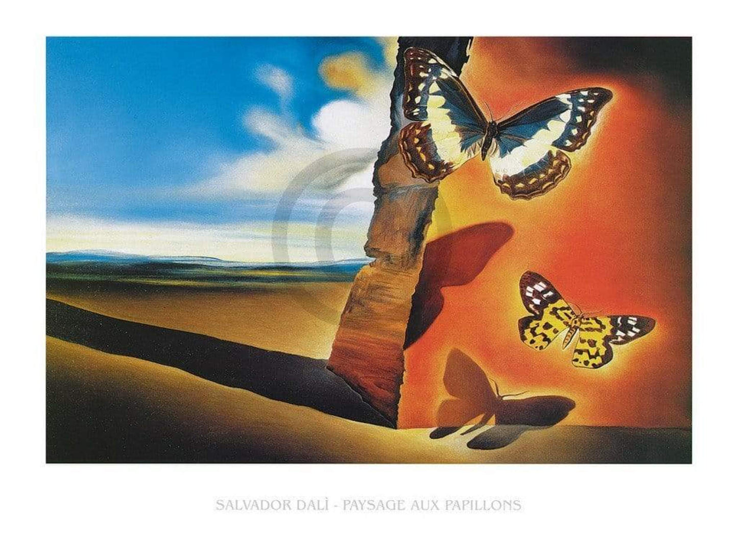 Kunstdruck Salvador Dali - Paysage aux Papillons 80x60cm
