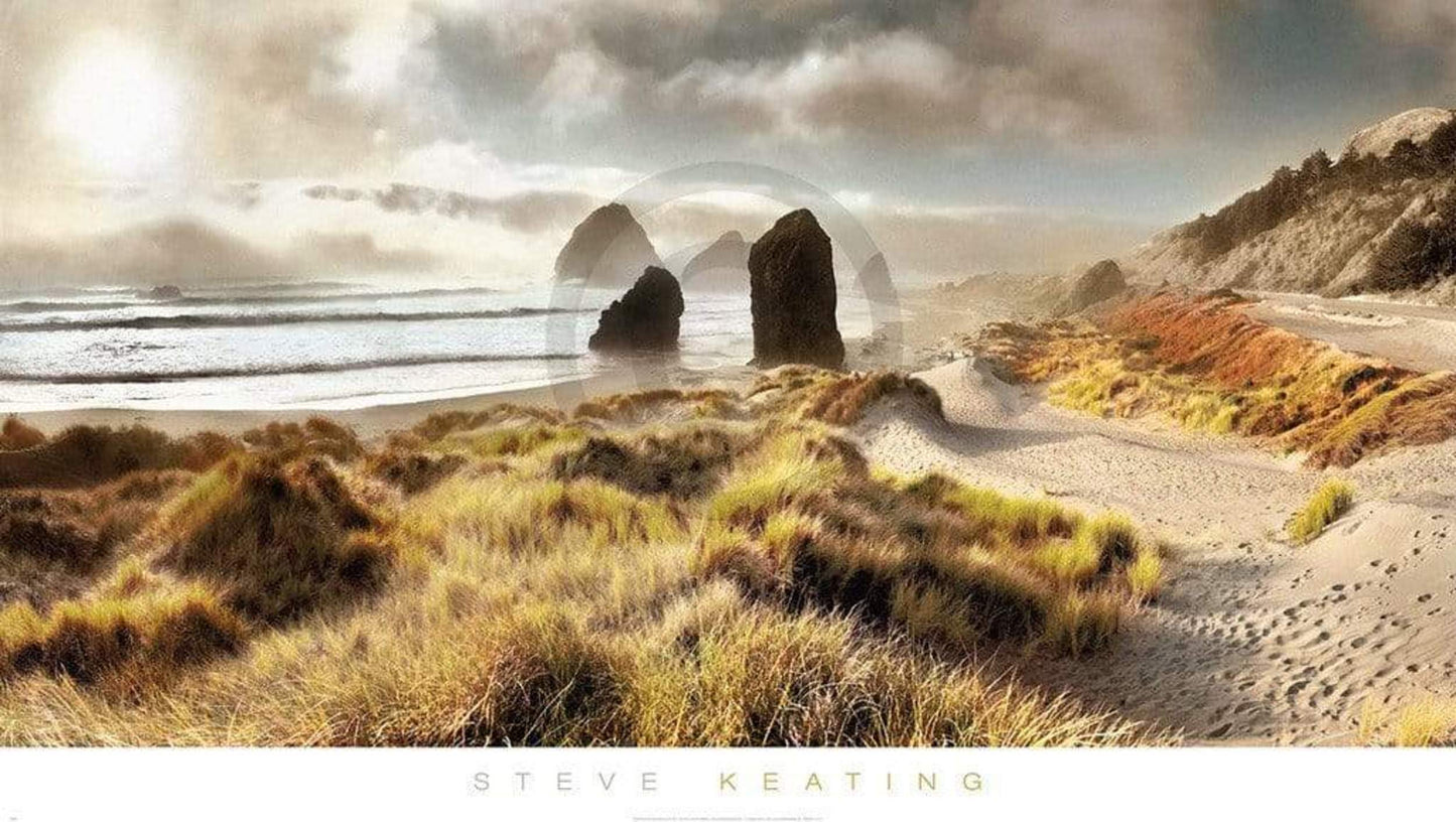 Kunstdruck Steve Keating - Pistol River 99x56cm