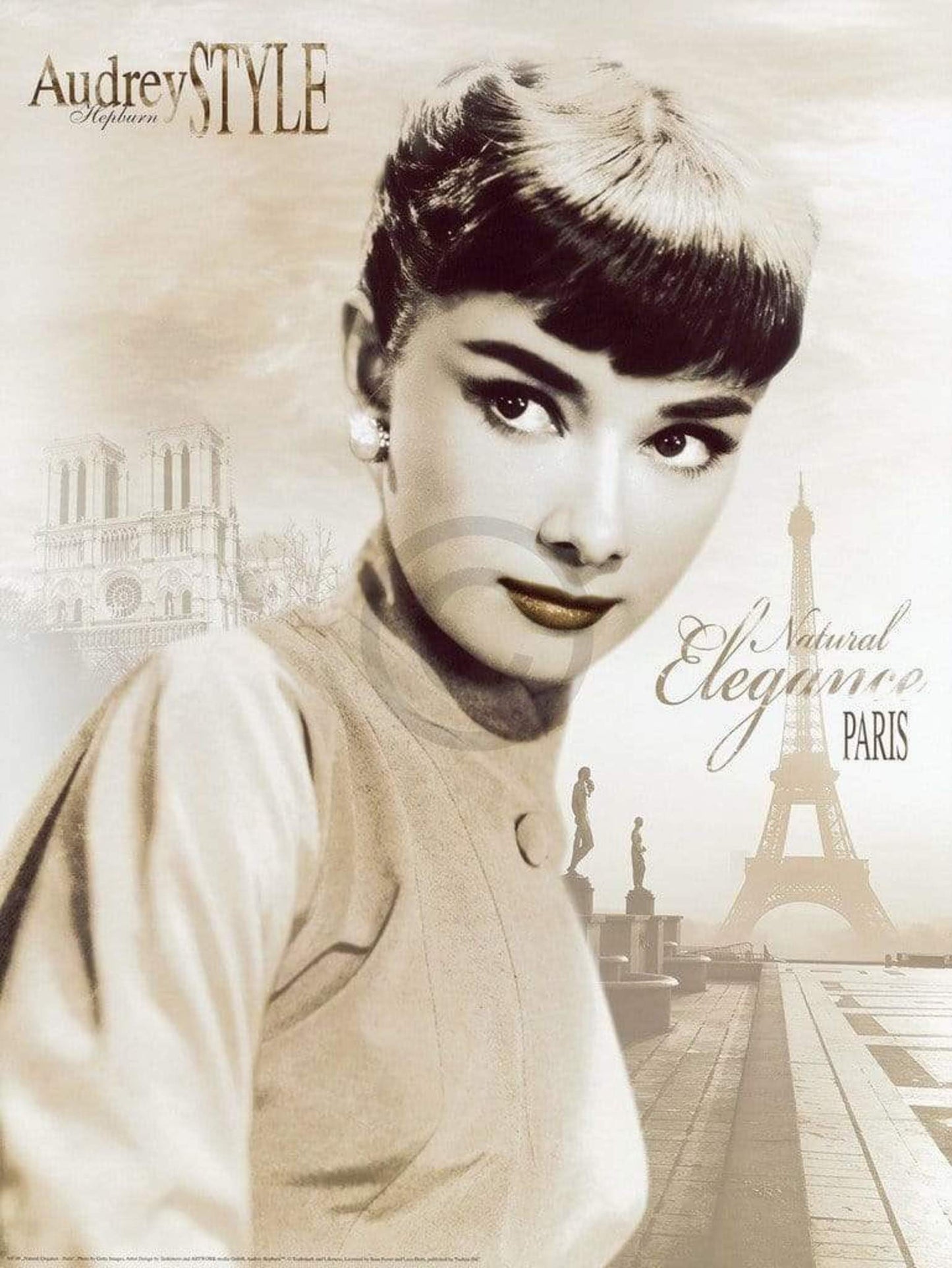 Kunstdruck Tashimoto - Natural Elegance - Paris 60x80cm