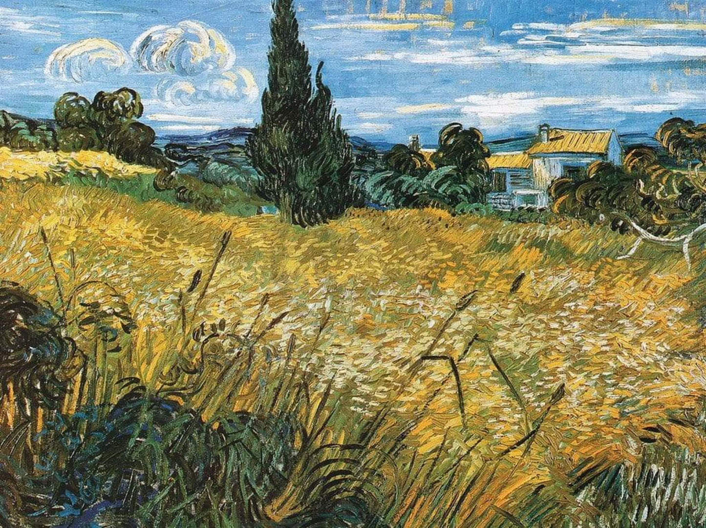 Kunstdruck Vincent Van Gogh - Campo di grano 80x60cm
