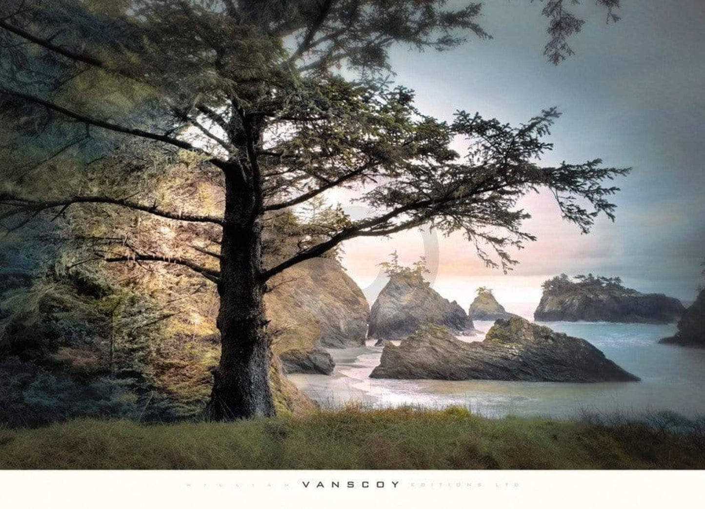 Kunstdruck William Vanscoy - All Day Dreamer 91x66cm