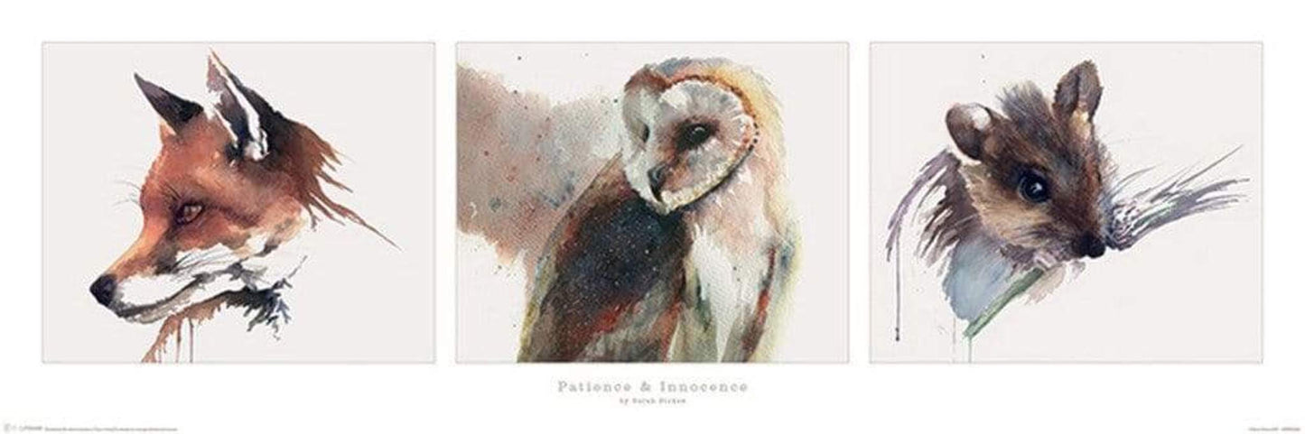 Poster Sarah Stokes - Patience and Innocence 91,5x30,5cm