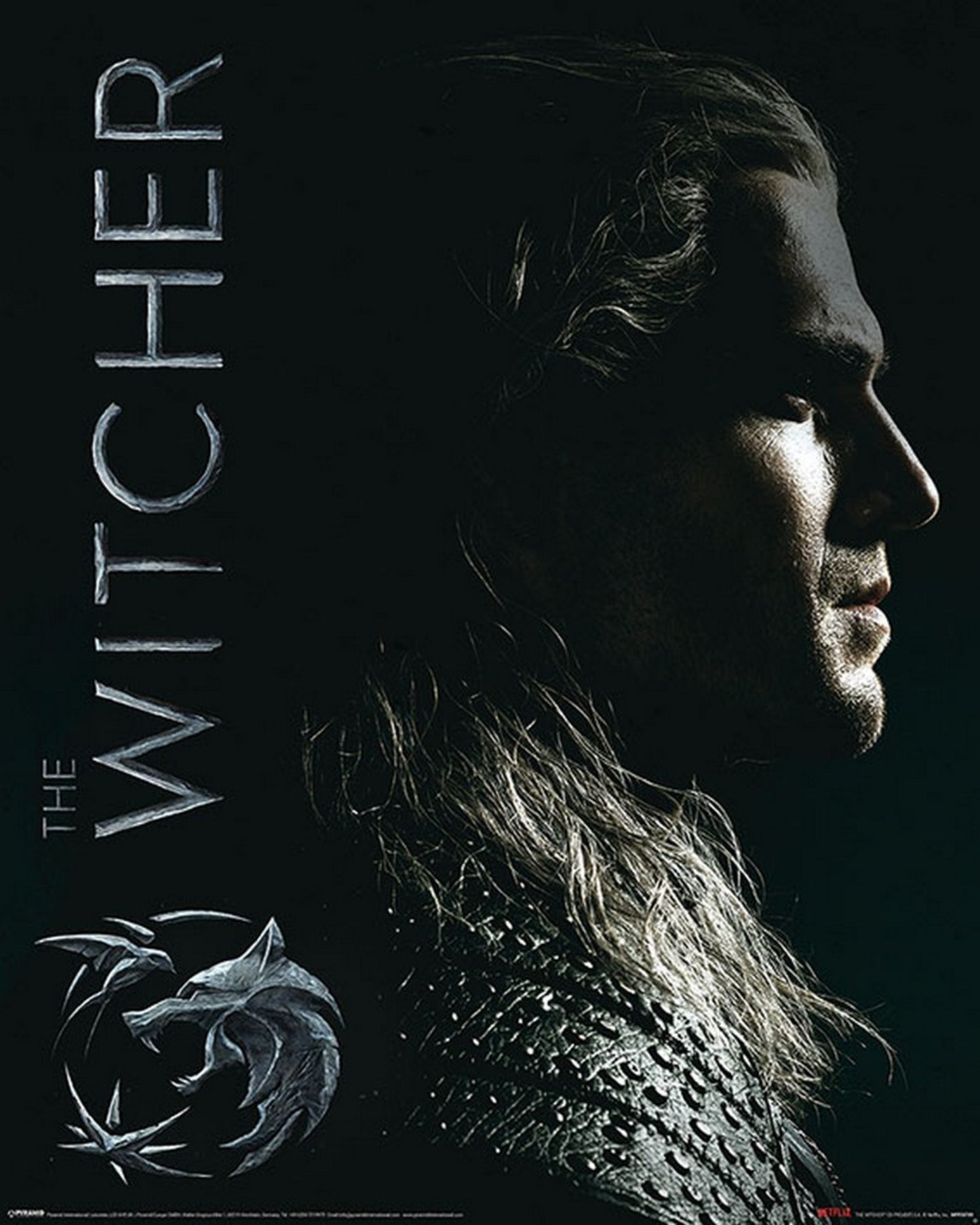 Poster The Witcher Shadows Embrace 40x50cm