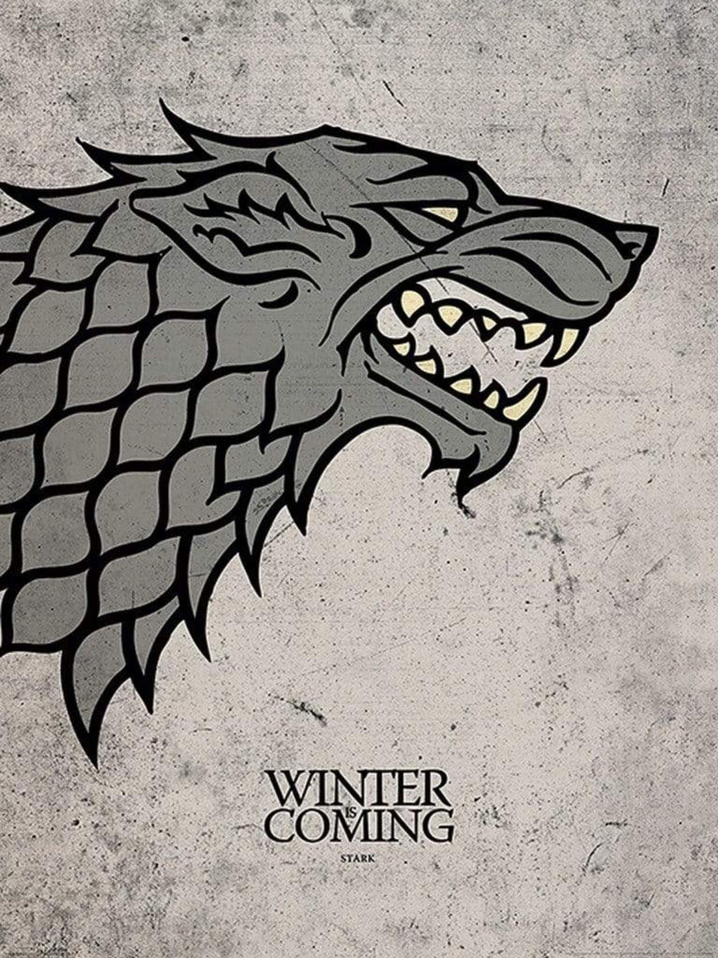 Kunstdruck Game of Thrones - Stark 60x80cm