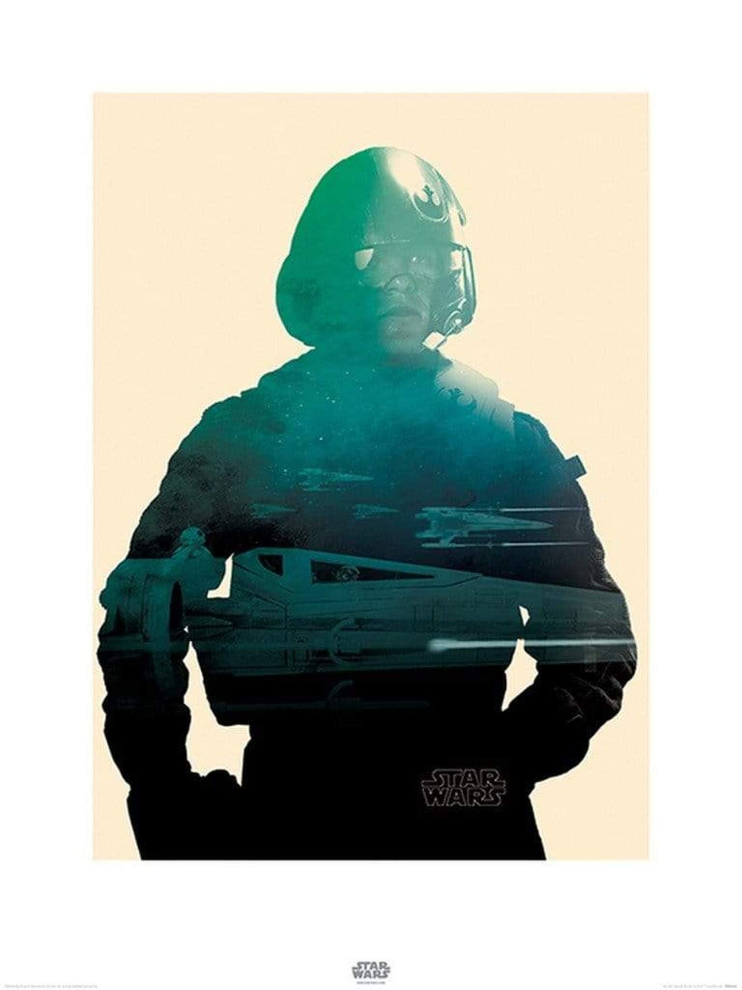 Kunstdruck Star Wars Episode VII Poe Tri 60x80cm