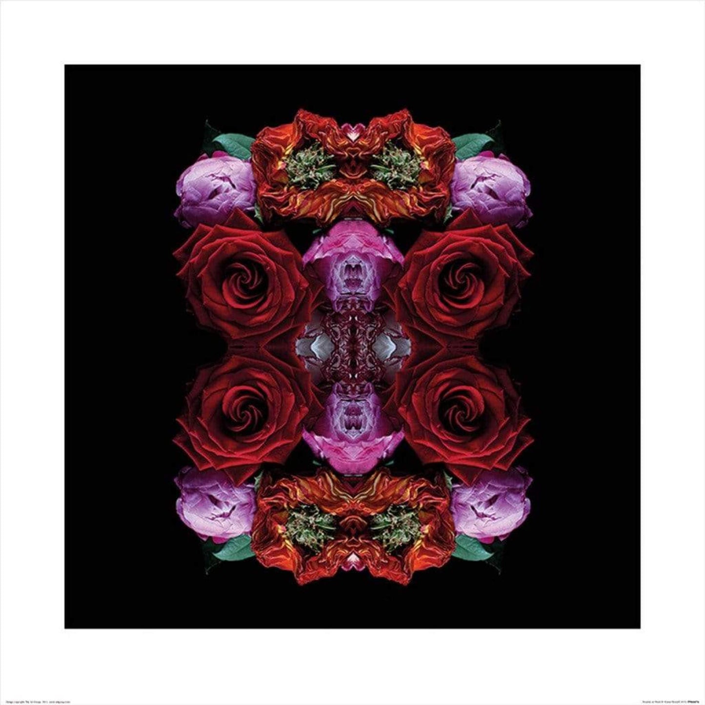 Kunstdruck Alyson Fennell - Paradise of Petals 60x60cm