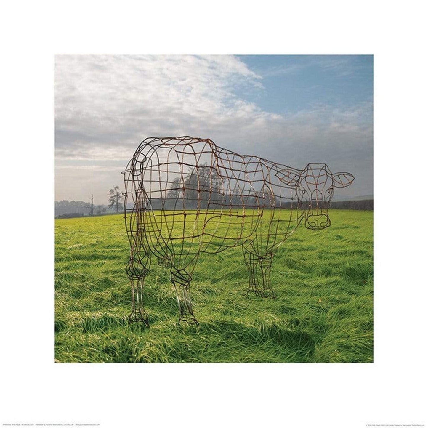 Kunstdruck Pink Floyd - Wireframe Cow 40x40cm