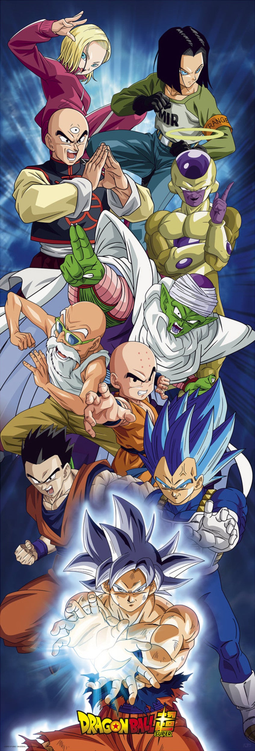 Poster Dragon Ball - Super Door Group 53x158cm