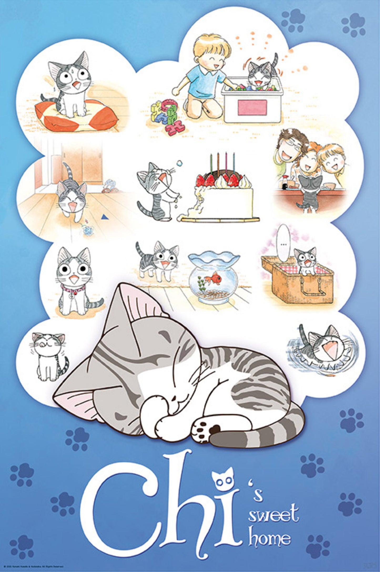 Poster Chi Chi's Dream 61x91,5cm