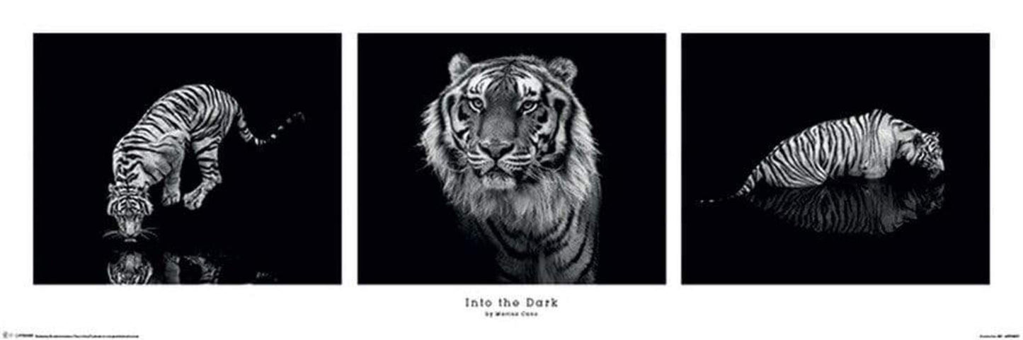 Poster Marina Cano - Into the Dark 91,5x30,5cm