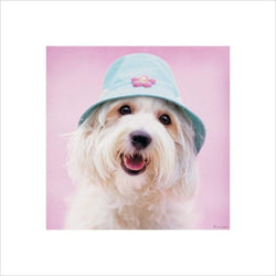 Kunstdruck Rachael Hale - Cindy 40x40cm