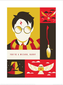 Warner Bros - You Are A Wizard Harry Kunstdruck 30x40cm