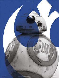 Kunstdruck Star Wars - Episode IX BB 8 30x40cm