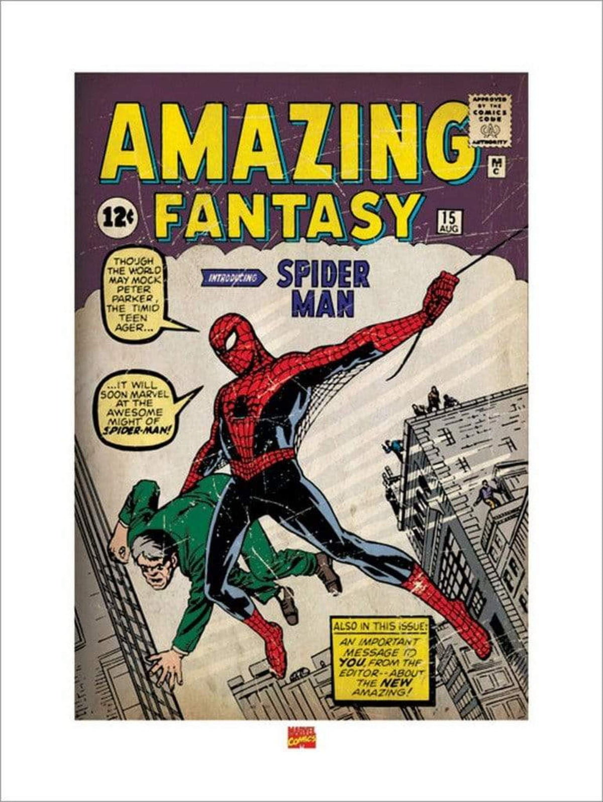 Kunstdruck Spider-Man - Issue 1 60x80cm