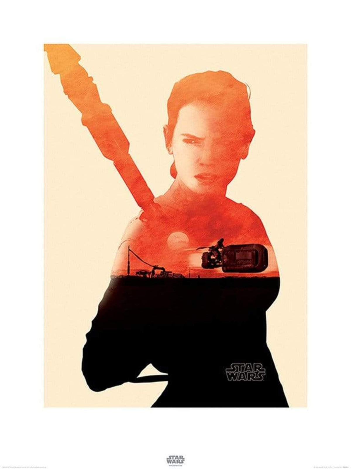 Kunstdruck Star Wars - Episode VII Rey Tri 60x80cm