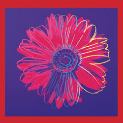 Kunstdruck Andy Warhol - Daisy 1982 90x90cm