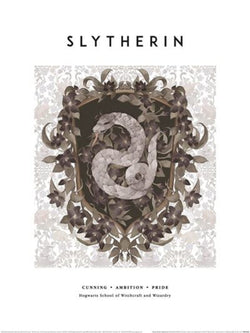 Kunstdruck Harry Potter Slytherin 30x40cm