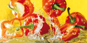 Kunstdruck Michael Meisen - Paprika 100x50cm