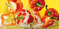 Kunstdruck Michael Meisen - Paprika 100x50cm