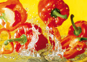 Kunstdruck Michael Meisen - Paprika 30x21cm