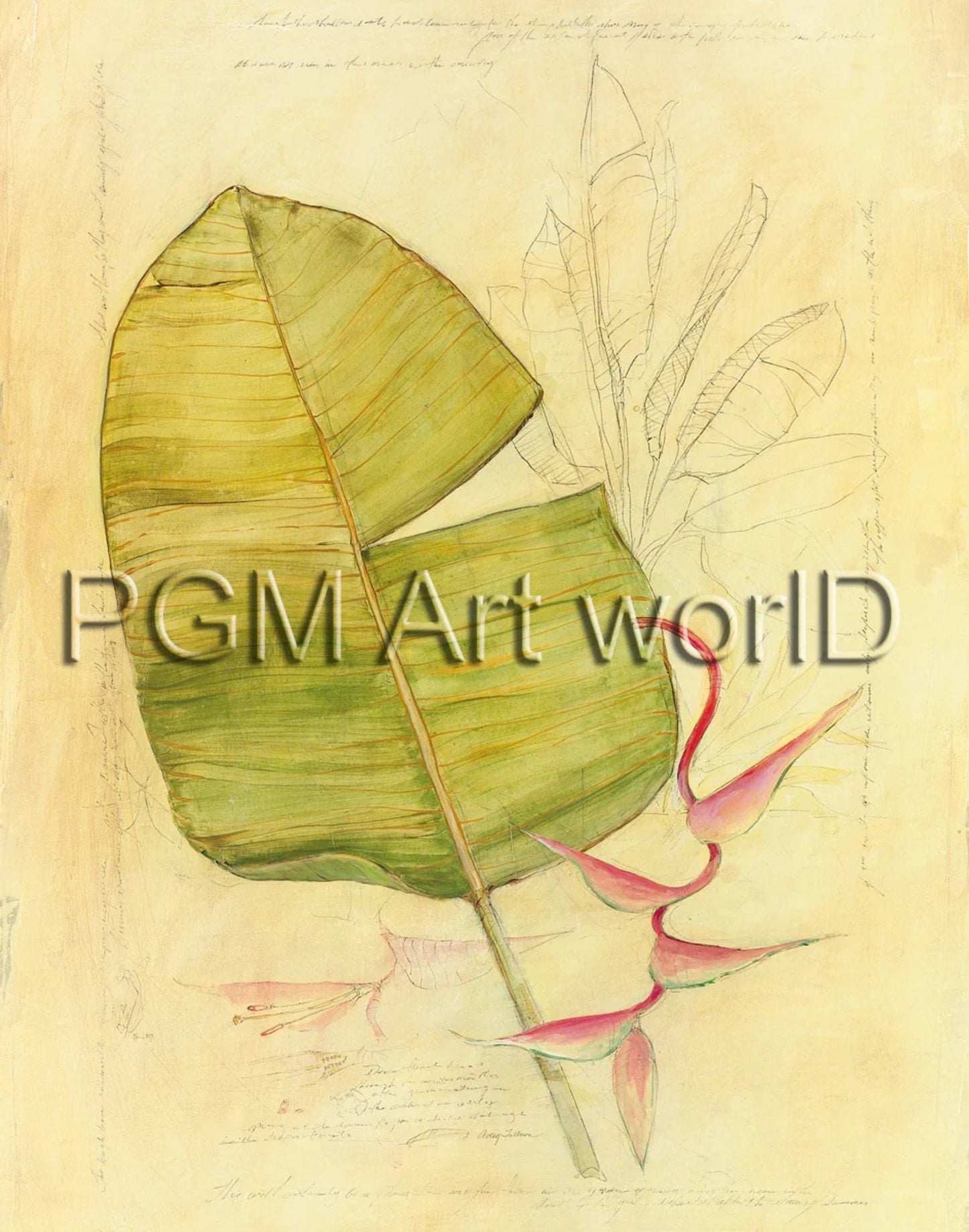 Kunstdruck Avery Tillmon - Botanical Journal I 56x71cm