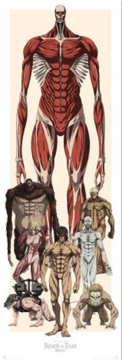Poster Attack on Titan - 53x158cm
