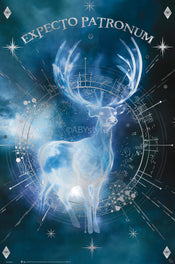 Poster Harry Potter Expecto Patronum 61x91,5cm