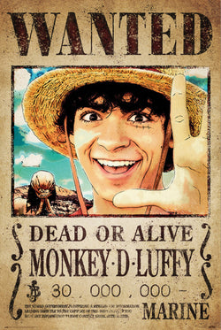 Poster One Piece - Netflix Wanted Monkey D Luffy 61x91,5cm