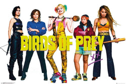Poster Birds of Prey Group 91,5x61cm