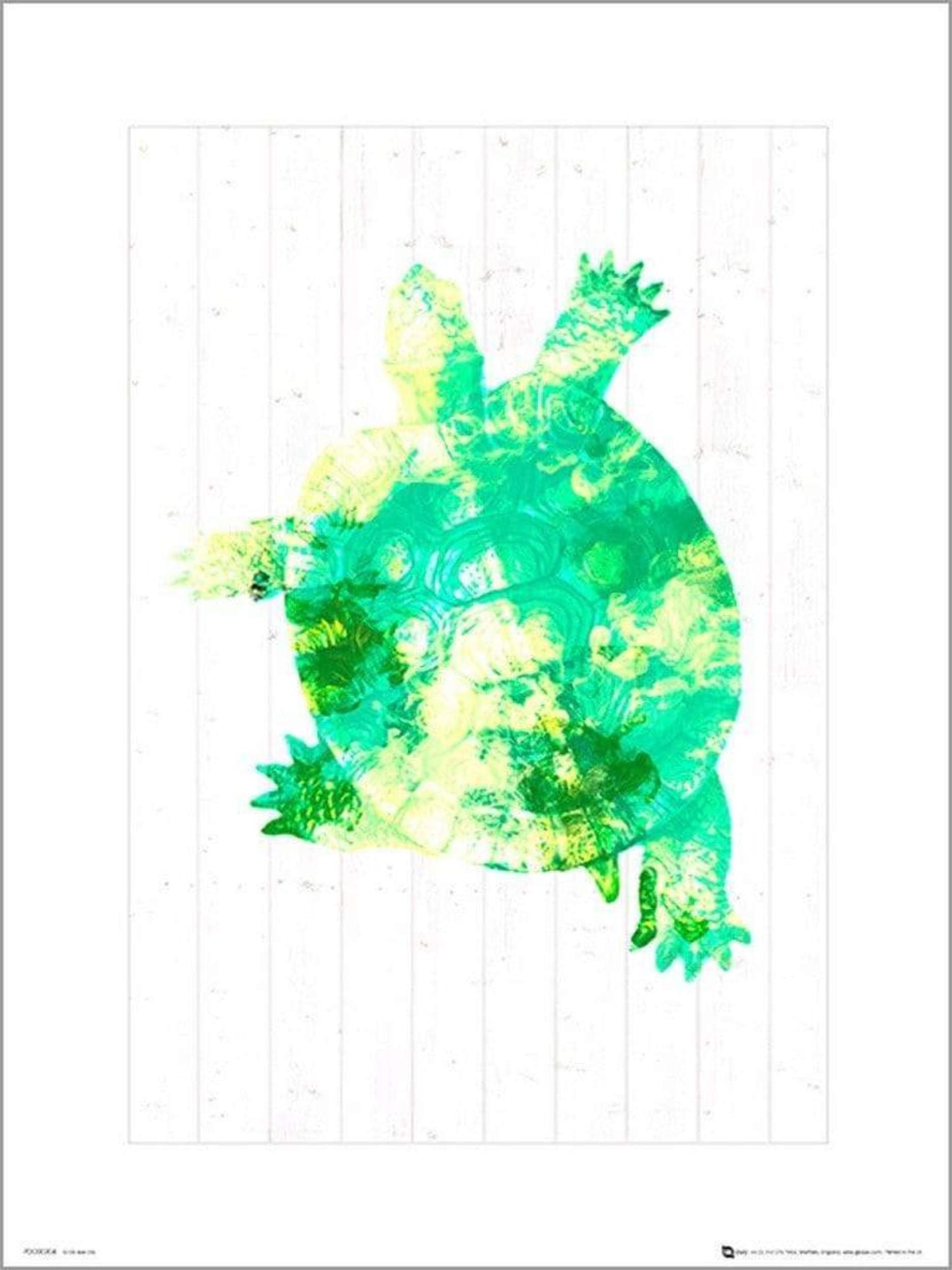 Kunstdruck Seaside Turtle Green 24x30cm