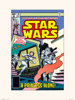 Kunstdruck Star Wars 30 A Princess Alone 30x40cm