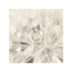 Kunstdruck Adam Brock - On the Breeze 51x51cm