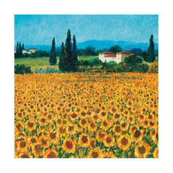 Kunstdruck Hazel Barker - Farm near Siena 61x61cm