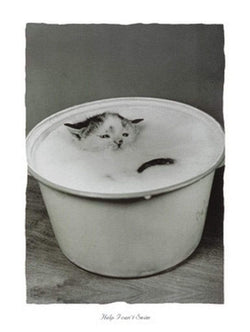 Kunstdruck B. Creative - Help I can't swim 30x40cm